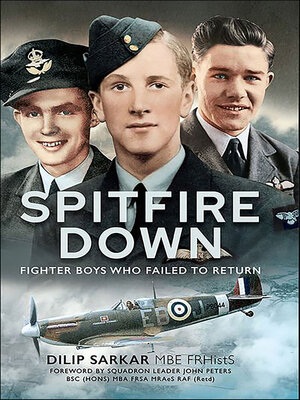 cover image of Spitfire Down